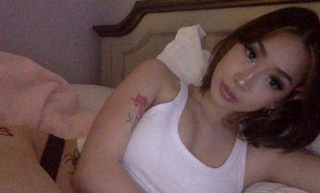 Harmonee Yang étoile gratuite collection