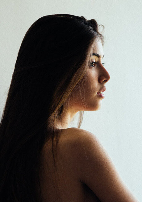 Noam Hammer star du porno parfaite collection