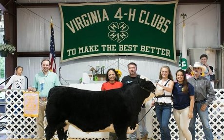 Logan Brickhouse art étoile images