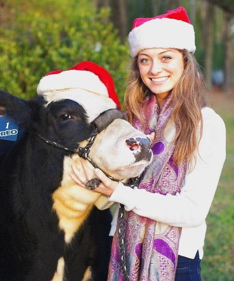 Logan Brickhouse modèle sympa photos