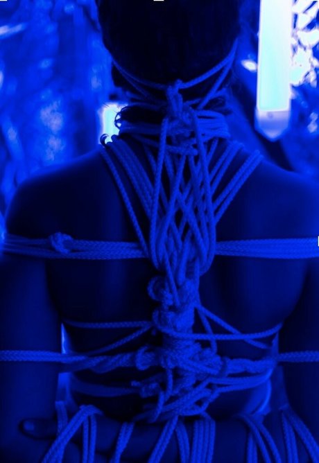 Abi Blue étoile magnifique image