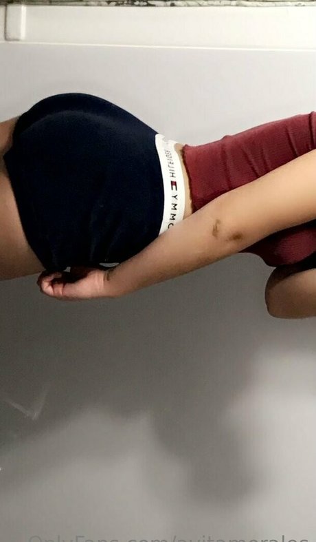 avitamorales star du porno adulte galeries