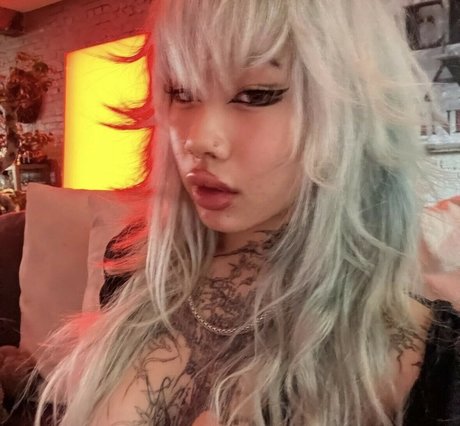 lustr0t star du porno chaud collection