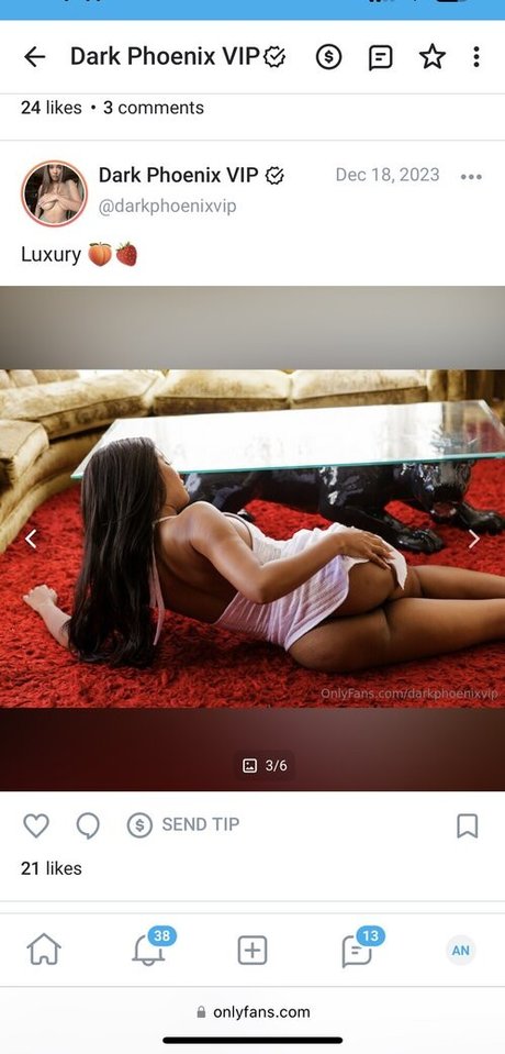 Dark Phoenix belle star du porno photo