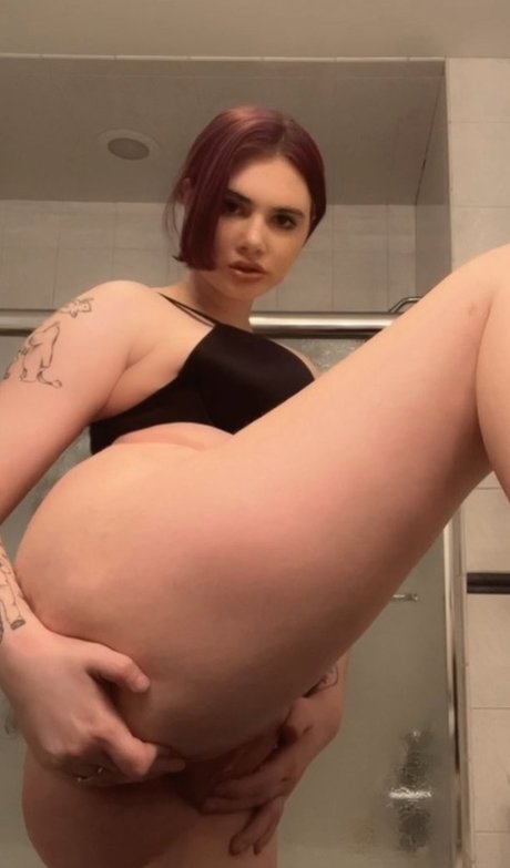 Auroramalak étoile gratuite images