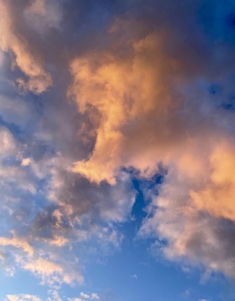 come lay with adile sexe star du porno images