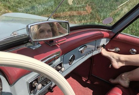 fans de chatte blanche uniquement exclusif chaud image