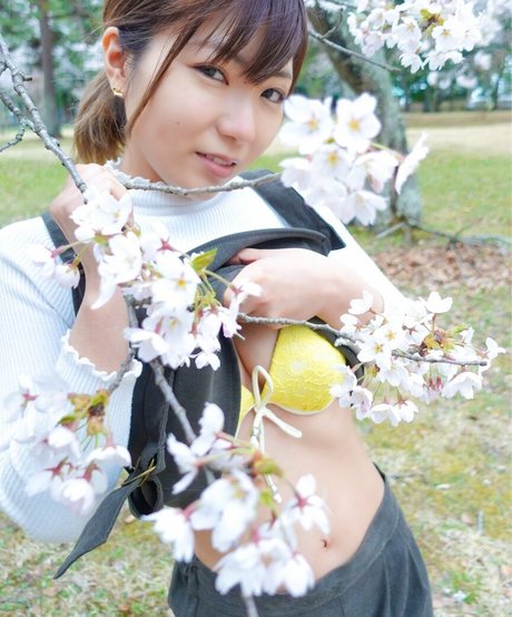 seuls les fans potelés porno xxx archive