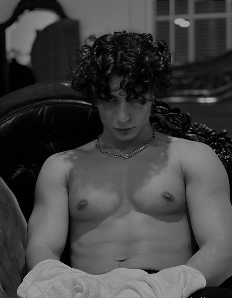 petervigilante étoile adulte collection