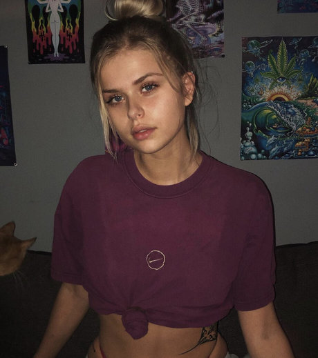 mdemma haut modèle galerie