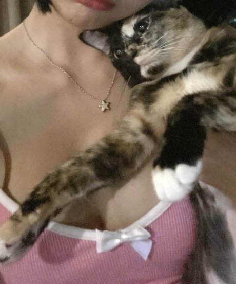 Phanomwan Chaiwayat meilleure étoile archive