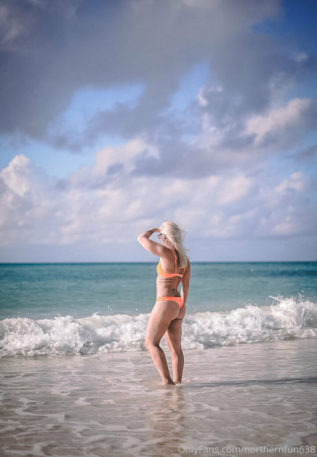 northernfun638 étoile gratuite photo