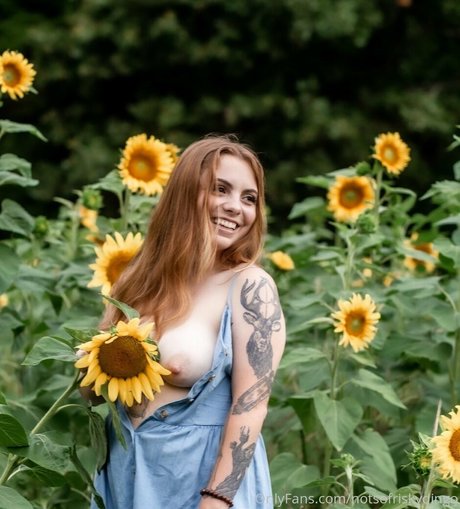 Notsofriskydingo nus de stars du porno galerie