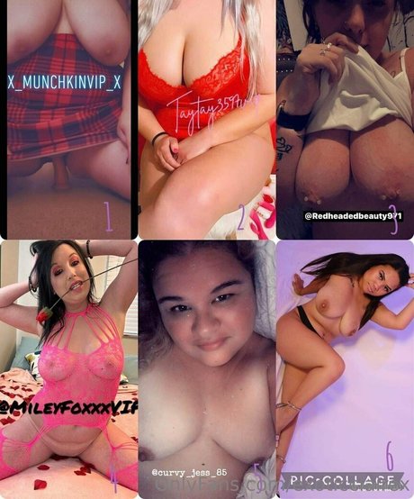 exoticclairex étoile parfaite galerie