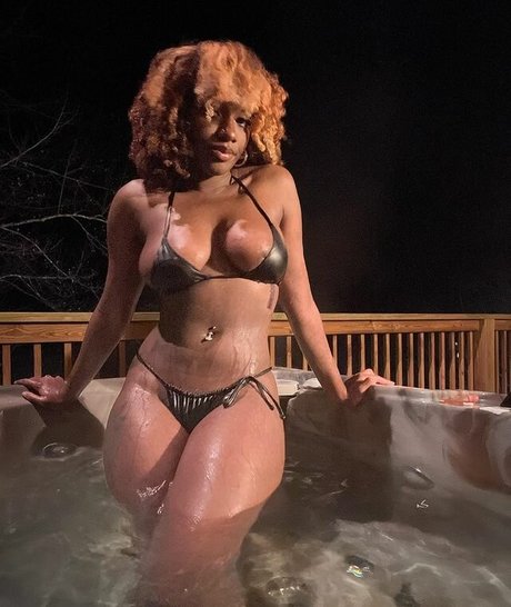 xo rocky ox7 art star du porno images