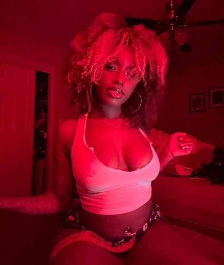 xo rocky ox7 étoile images