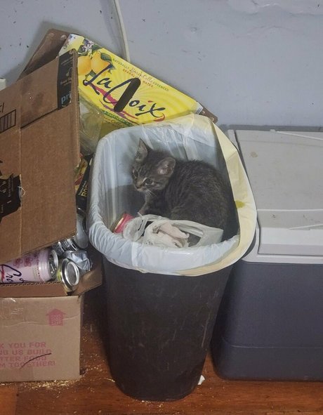 fans en fauteuil roulant uniquement chaud meilleur image