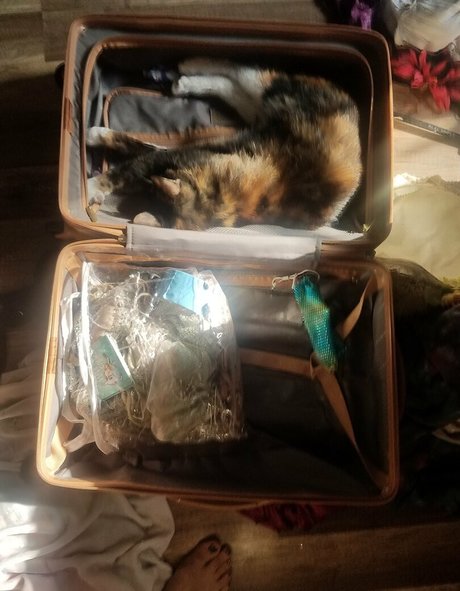 fans navajos uniquement chaud exclusif photo