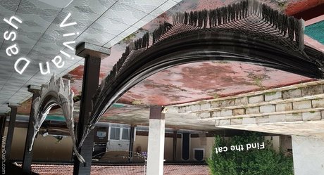 fans desi uniquement sexy nue photos