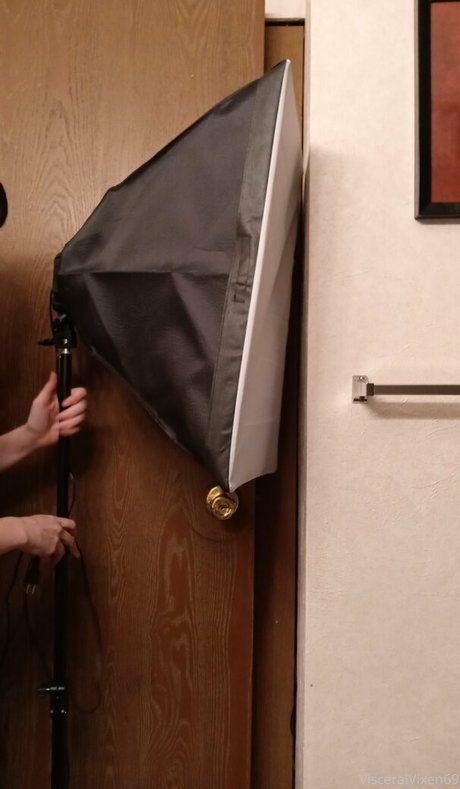 visceralvixen69 art étoile image