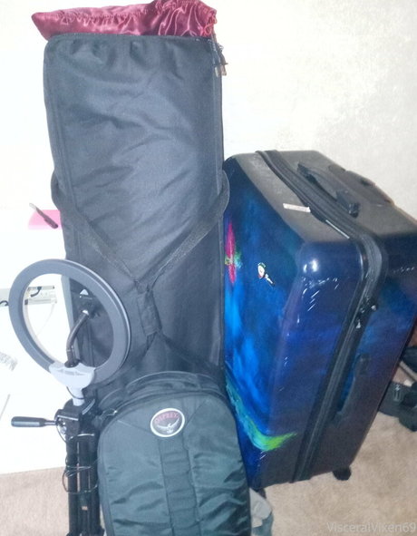 visceralvixen69 sexe de star du porno collection