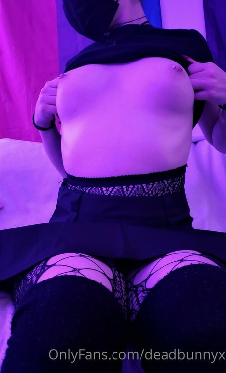 deadbunnyx haut de star du porno photo