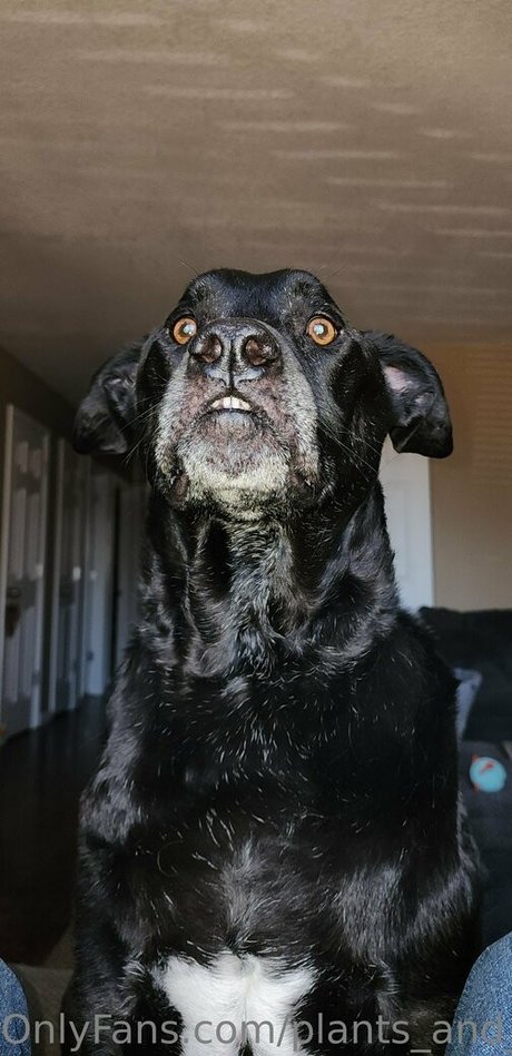 lesbiennes noires onlyfans assez exclusif img