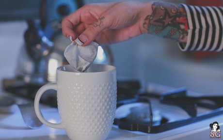 _stardust_ star du porno gratuit archive