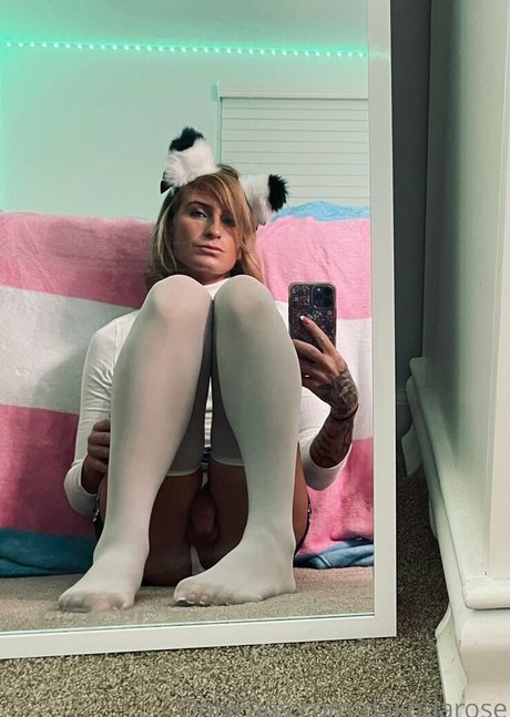 dakodarose nus de stars du porno img