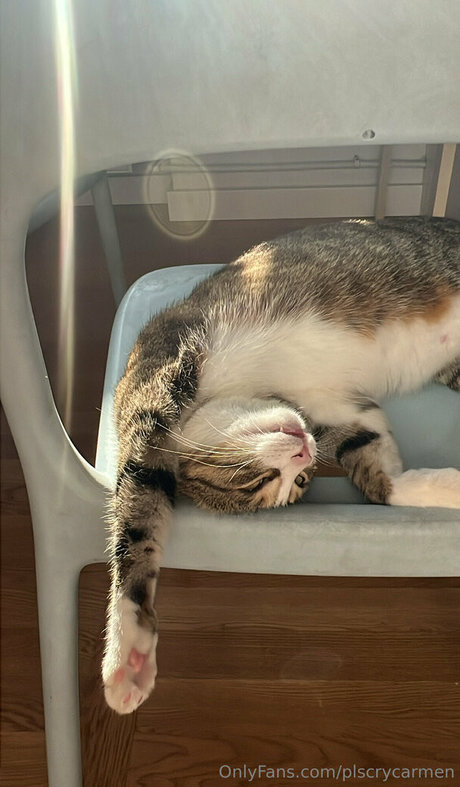 latina solo onlyfans hd img