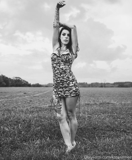 katannfree nus étoiles img