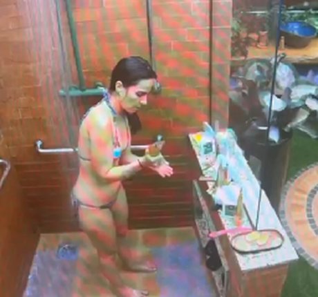 Wanessa Camargo jolie étoile galerie