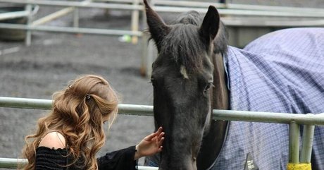 Brenna Winters jolie étoile collection