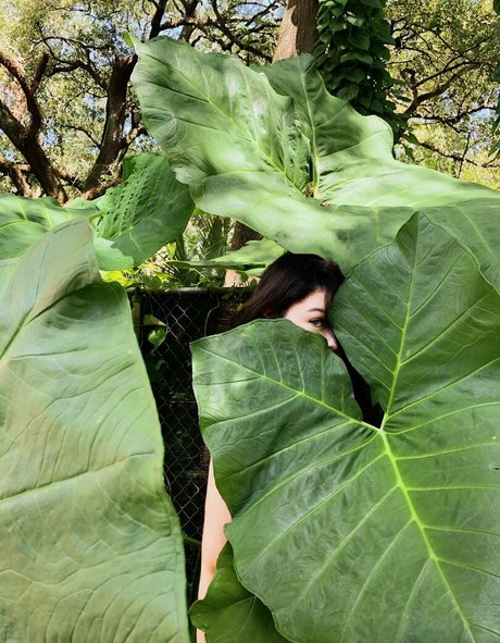 Alondra Larson modèle joli images