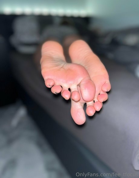 fee tfocus art de star du porno galerie