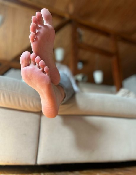 fee tfocus modèle magnifique images