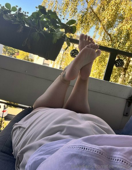 fee tfocus art étoile collection