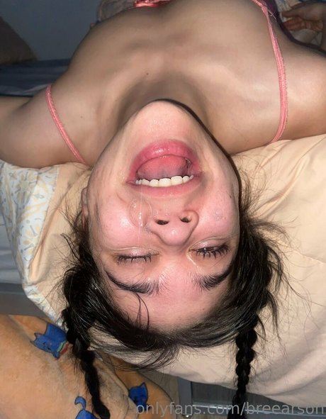 Breearson modèle gratuit image