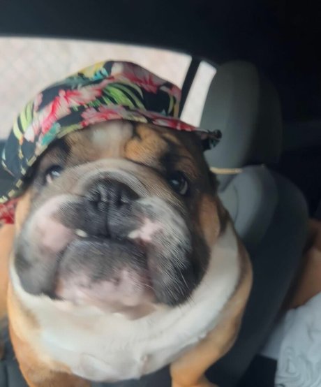 princessemilyyyy modèles nus photos