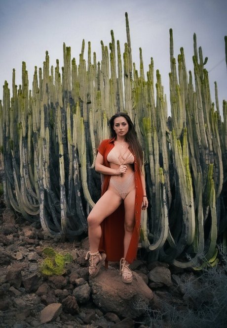 SweetTits20 actrice de grande qualité des photos