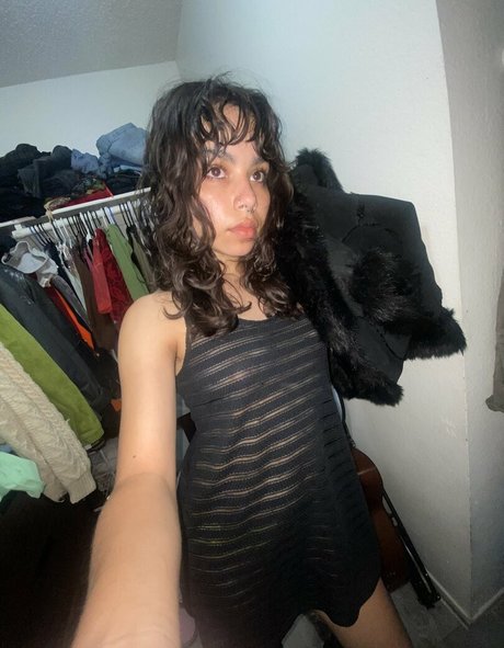 nosheylin star du porno sympa images