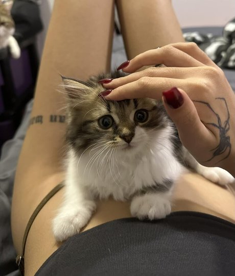 Gupgiiiiift art de star du porno photos