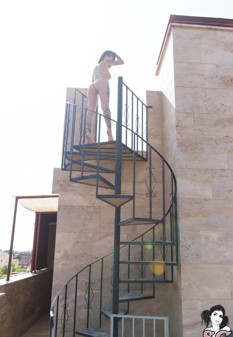 sikoisdead meilleure étoile galerie