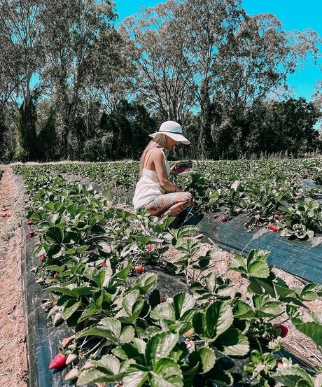 Billie Loves star du porno galerie