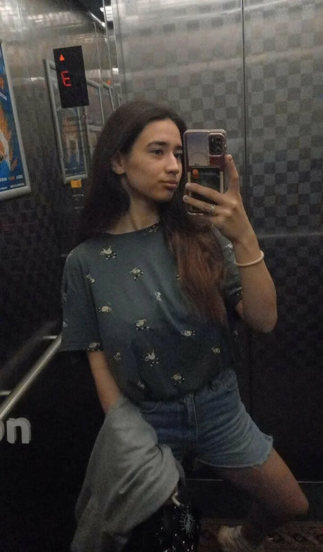 Mariemelons étoile de l'art img