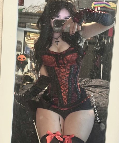 fans navajos uniquement haute qualité meilleur galerie