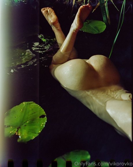 Toree modèle joli img