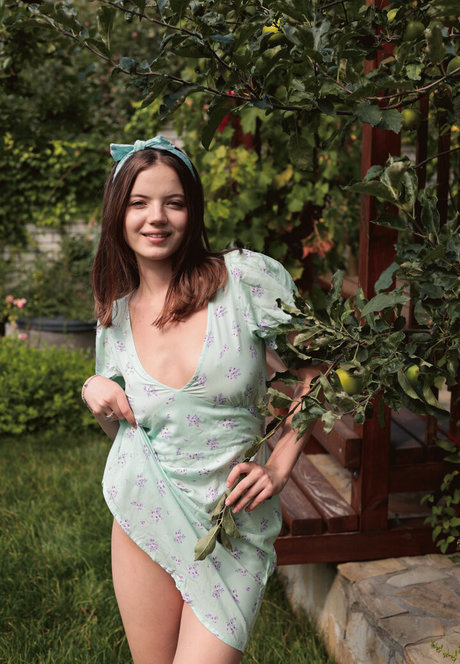 fans de classe uniquement art meilleur galerie