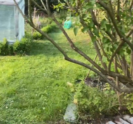 anciens fans uniquement parfait nu images