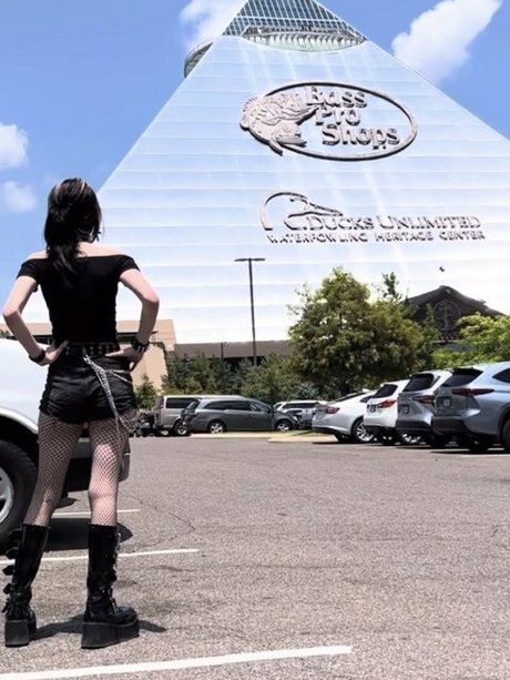 Gutknot étoile nue photo